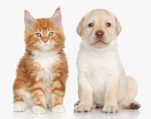 ok网交易所最新版本下载