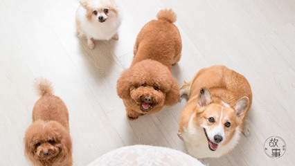 星际钱包比特币