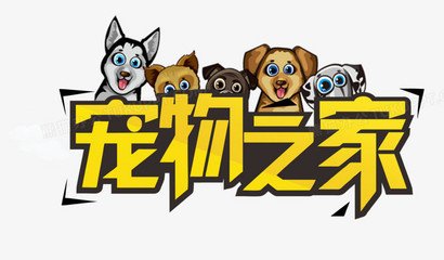 小狐狸钱包怎么安装不了