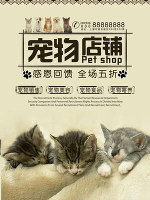 国外的usdt钱包