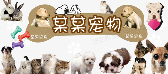 小狐狸钱包app官网下载