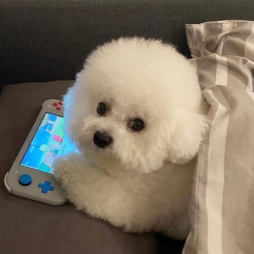 如何把imtoken转到交易所