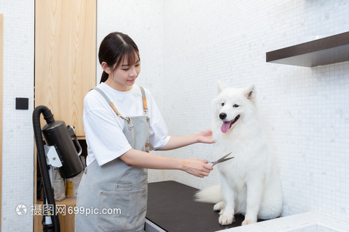 okapp是个什么平台