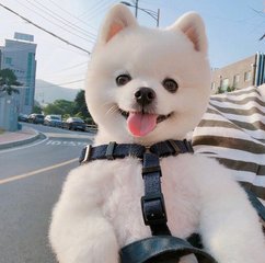 imtoken钱包官网登录